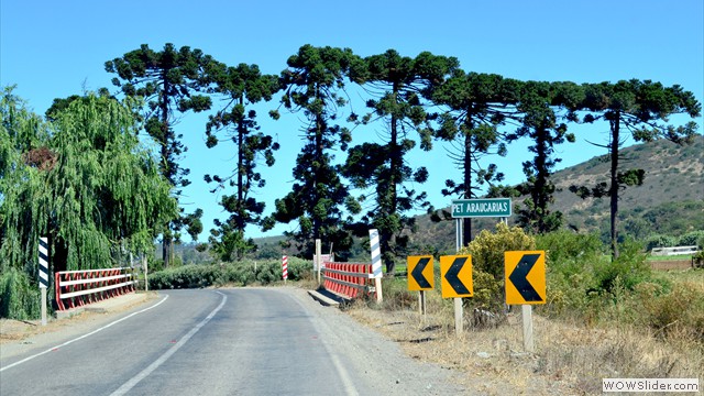 Obras Viales